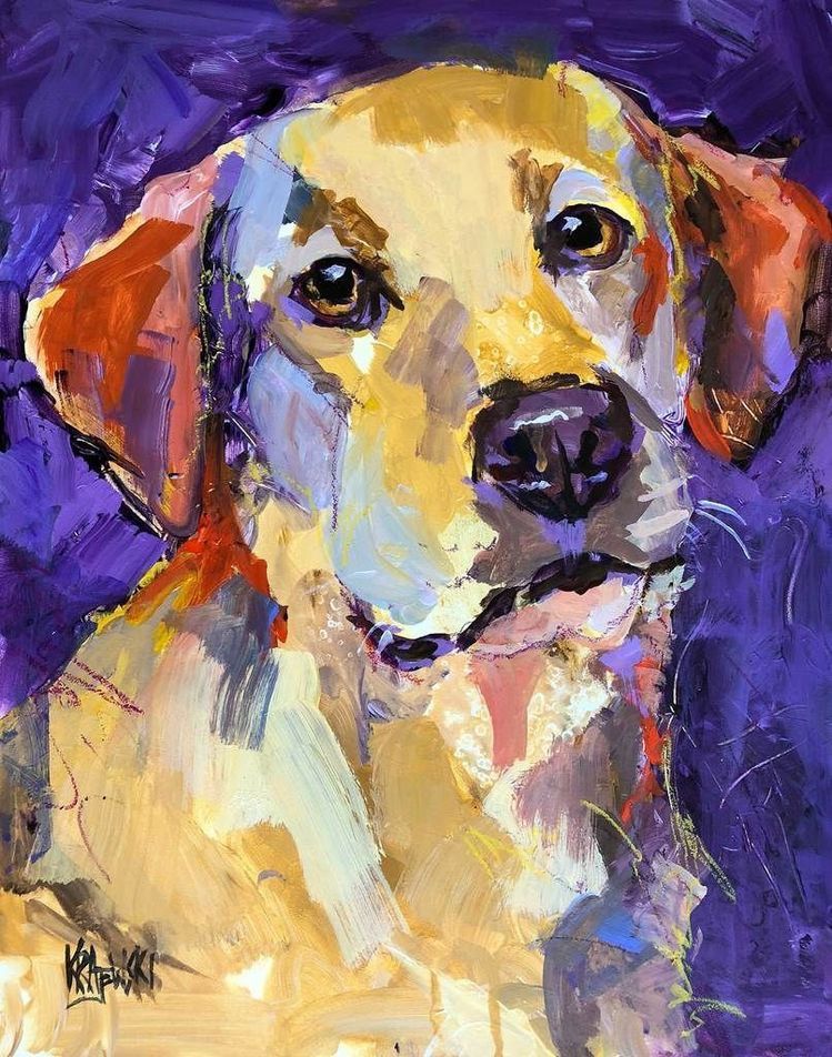 Neo-Pop Art Pet Portraits: An In-Depth Review by Real Canvas Farm
