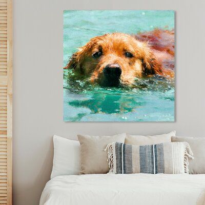 Choosing the Perfect Color-Field Pet Canvas
