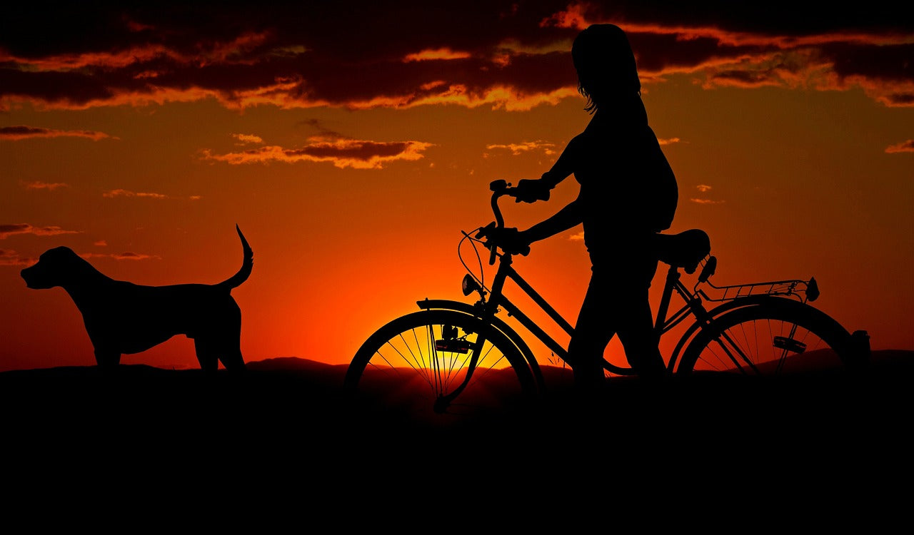 A Gentle Memorial for Senior Pets: How to Capture Their Twilight Years in Art