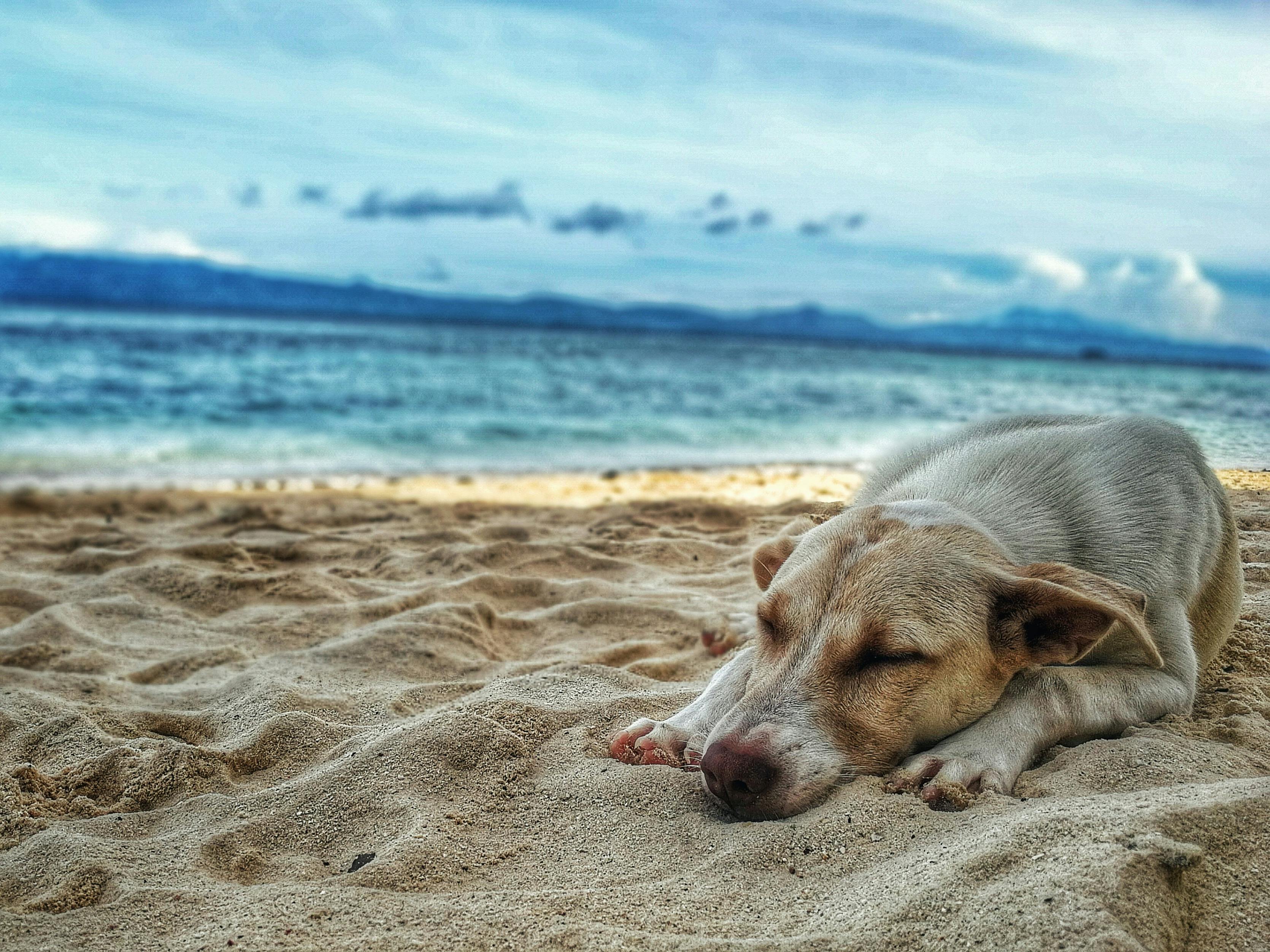 The Ephemeral Poetry Of "Beach" Canvas